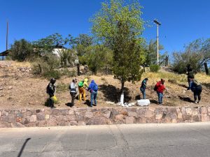 EMPLEO TEMPORAL EN EL MUNICIPIO DE HUACHINERA