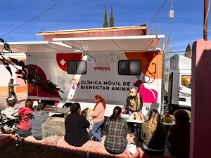 JORNADA DE ESTERILIZACION GRATUITA